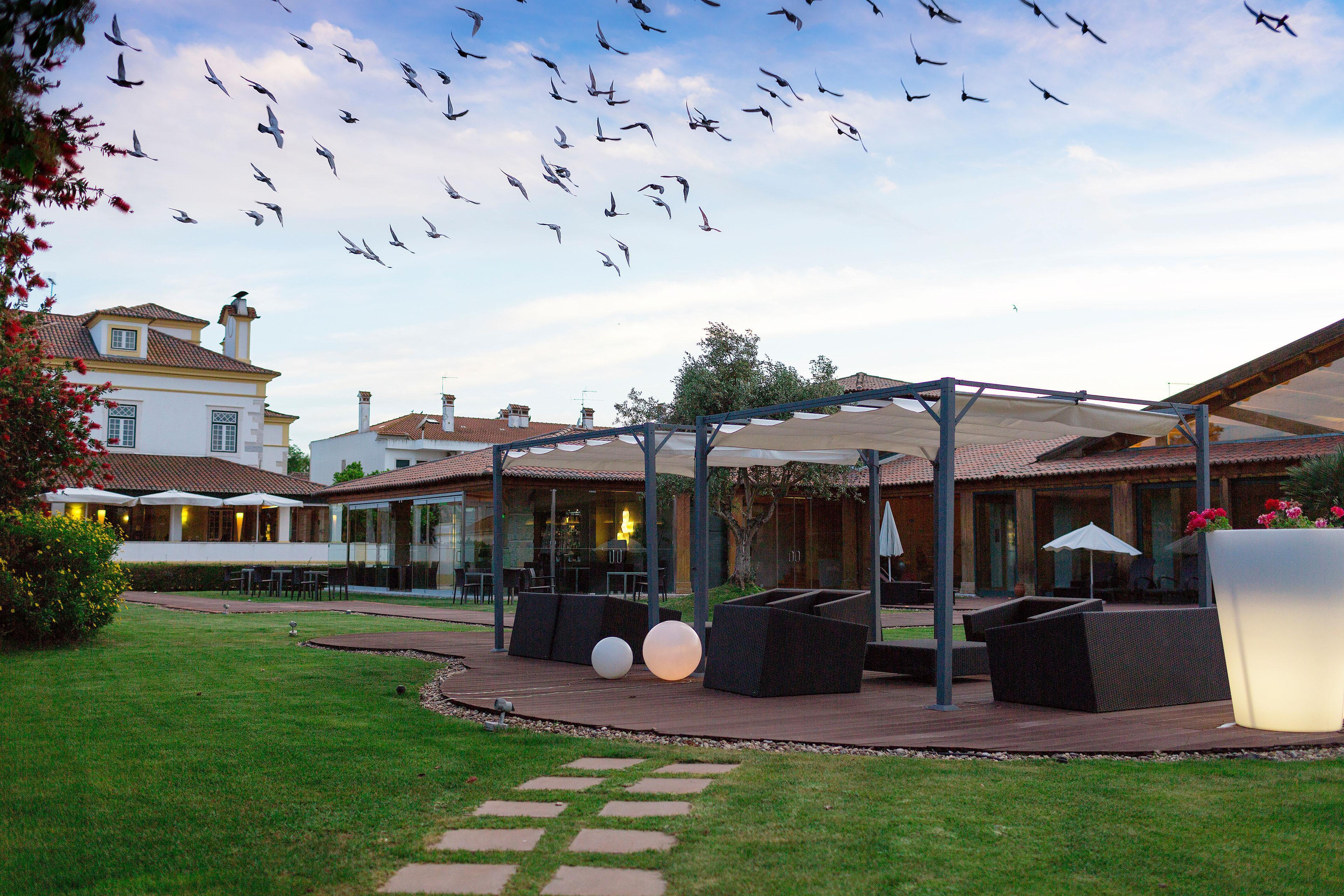 Hotel Lusitano Golegã Buitenkant foto